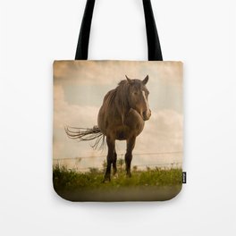 Horse In the green feild. Tote Bag
