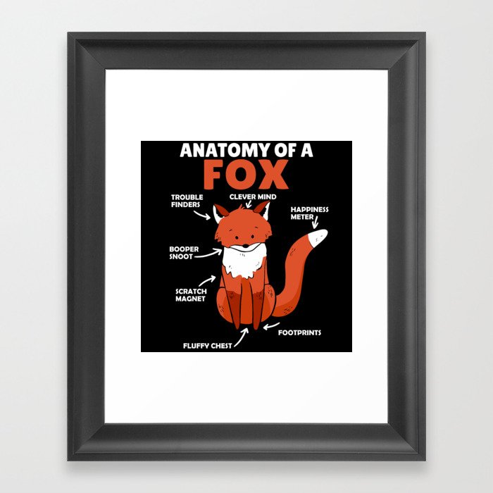 Sweet Fox Explanation Anatomy Of Fox Framed Art Print