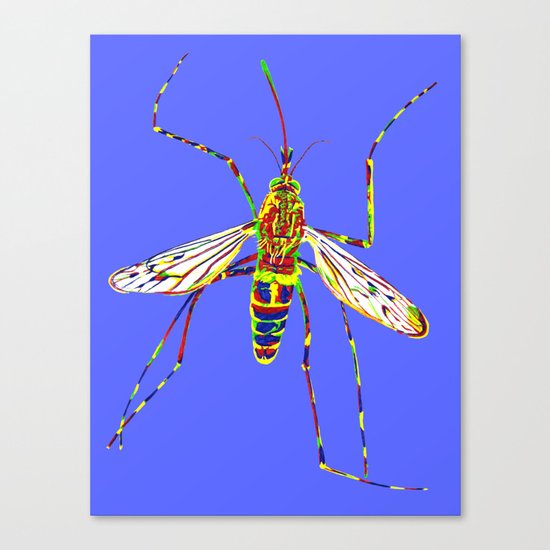 Mosquito Canvas Print