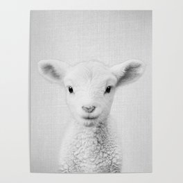 Lamb - Black & White Poster