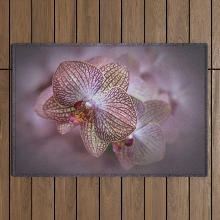 Blooming orchids Outdoor Rug