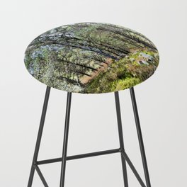 Scottish Highlands Forest Nature View in I Art Bar Stool