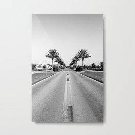 Alys Palms Metal Print | Photo, Landscape, Black and White, Architecture 
