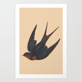Swallow Bird  Art Print