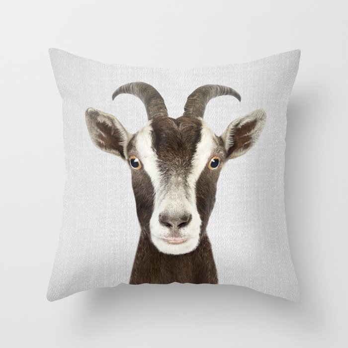 Throw Pillow