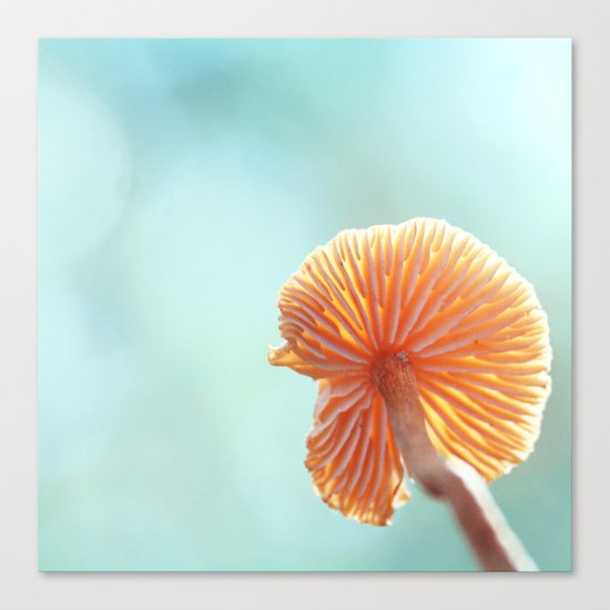 Tiny Tropical Cricket Canopy Canvas Print