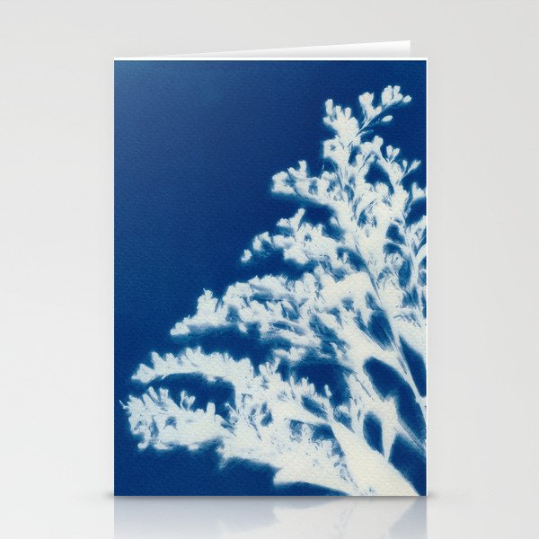 Cyanotype - Pressed flowers Stationery Cards