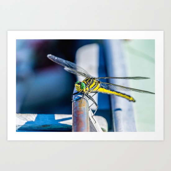 Little Bugger Art Print