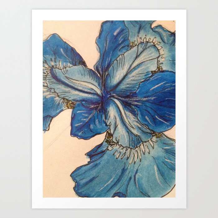 Blue Orchid Flower Art Print