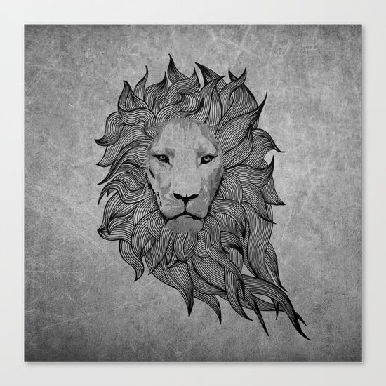 Grey Lion Canvas Print