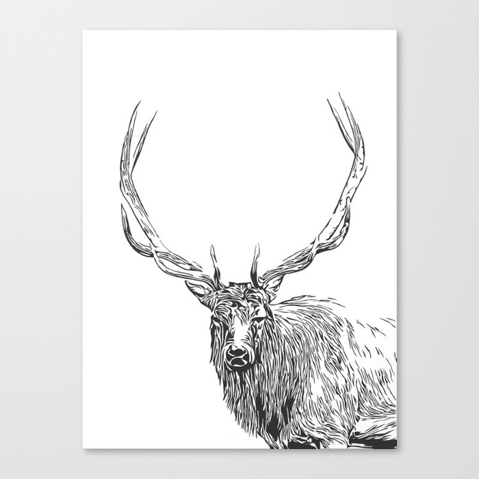 Rocky Mountain Bull Elk - Black and White Wildlife Canvas Print by