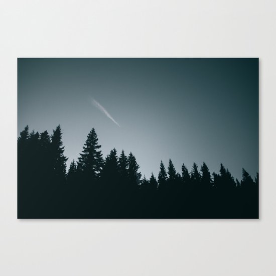 Forest XVI Canvas Print