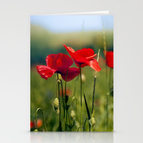 Poppies  Stationery Cards