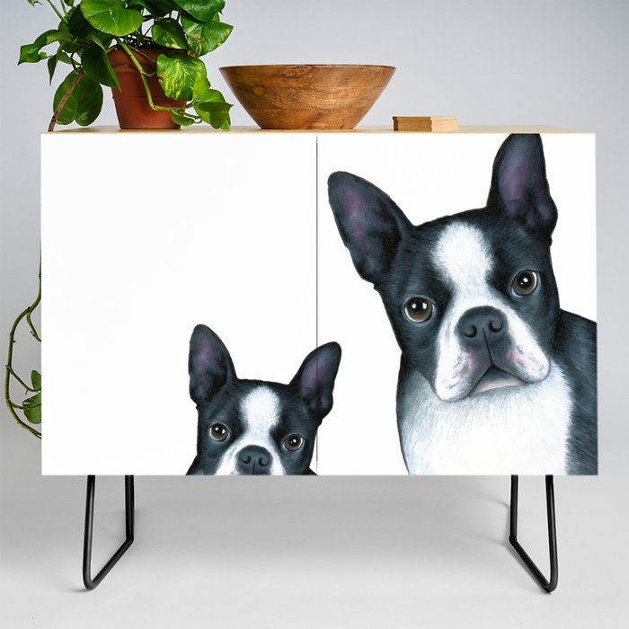 Dog 128 Boston Terrier Dogs black and white Credenza