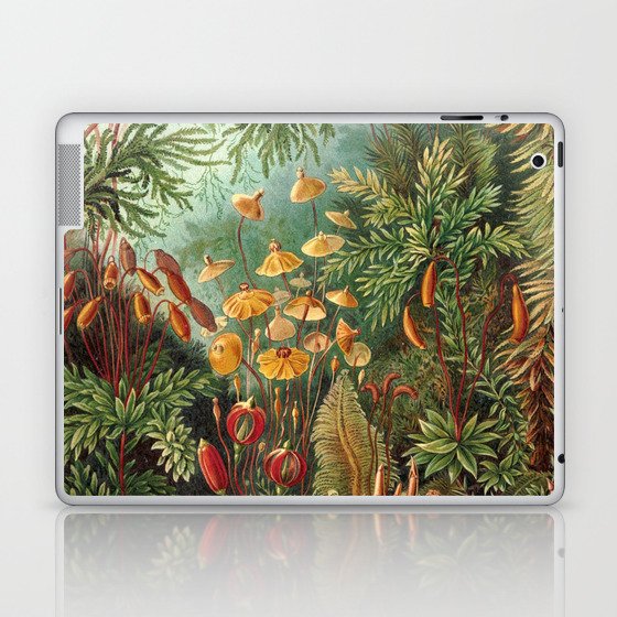 Ernst Haeckel Muscinae Microscopic Landscape Laptop & iPad Skin