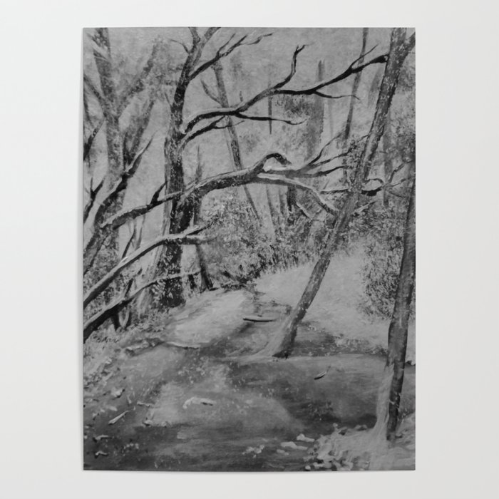 Snowy River Bed Black and White Poster