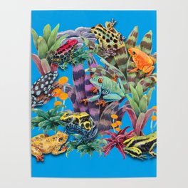 Tropical Frogs and plants - blue Poster