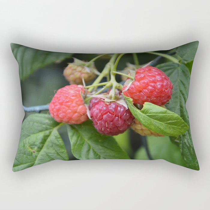 Raspberries Rectangular Pillow