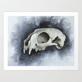 Curiosity (Cat Skull) Art Print