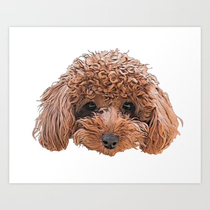 Toy poodle painting discount