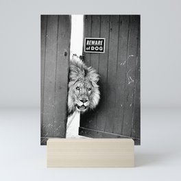 Beware of Dog black and white photograph of attack lion humorous black and white photography Mini Art Print