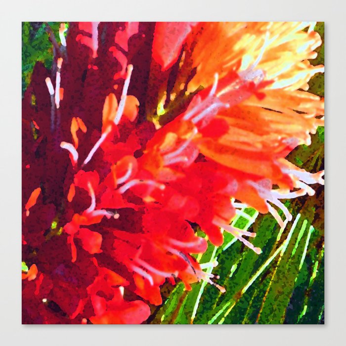Sunrise Orange Blossom Canvas Print