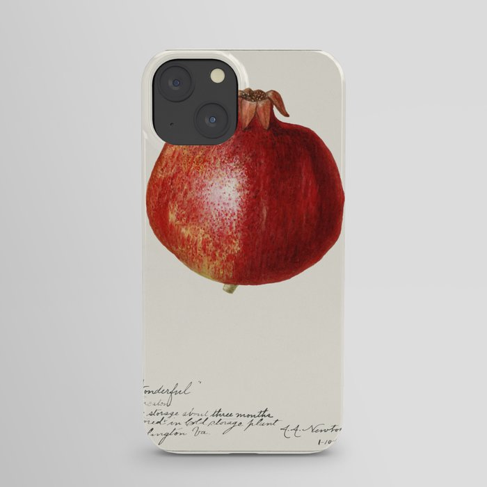 Pomegranates (Punica Granatum) (1920) by Amanda Almira Newton. iPhone Case