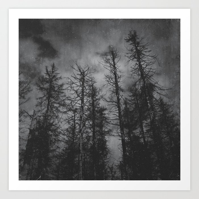 Transmission // Vintage Mountains Moody Forest With Dead Souls Cascadia Trees in Moonlight Art Print