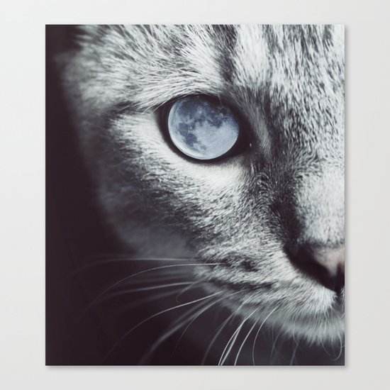 Moon cat Canvas Print