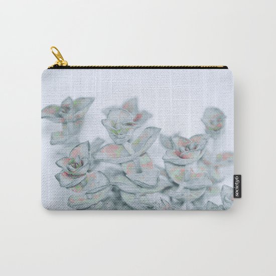 #164 Carry-All Pouch