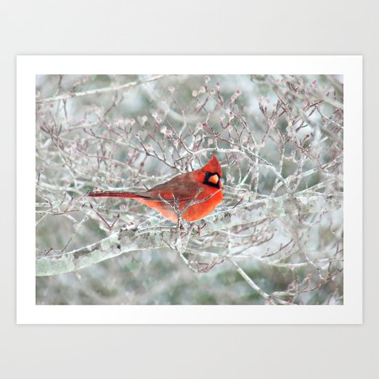 Winter Charmer Art Print