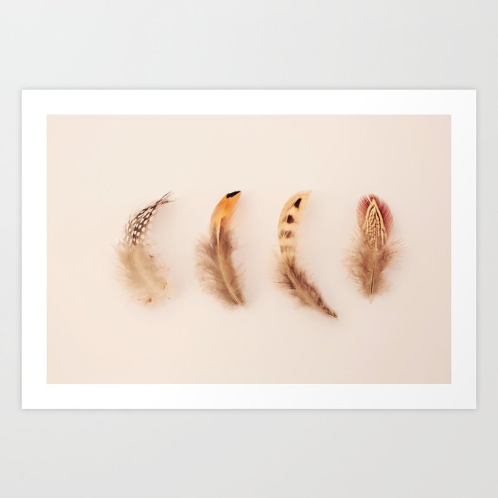 Feather Collection #1 Art Print
