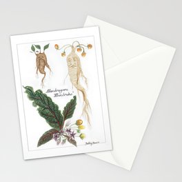 Mandrake Botanical Art Stationery Cards