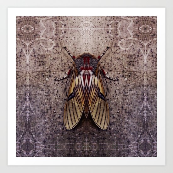 Moth II Art Print