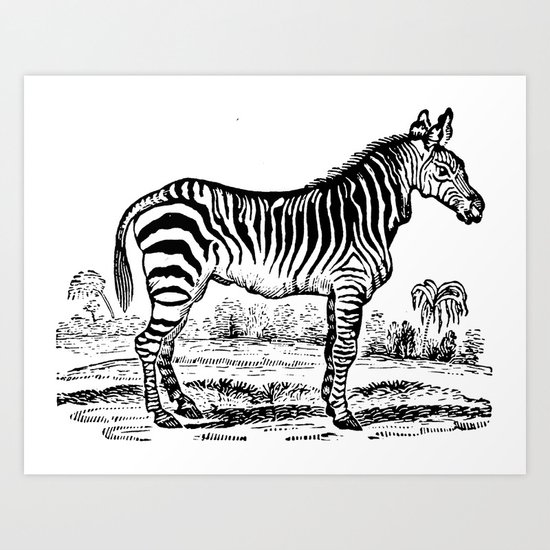 Vintage Zebra Art Print