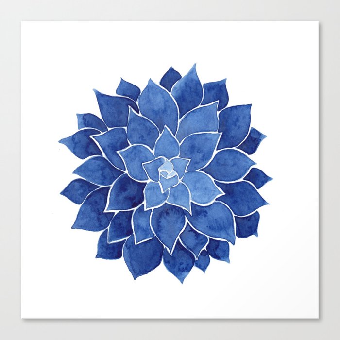 Indigo Succulent Watercolor Painting Canvas Print By Ccartstudio