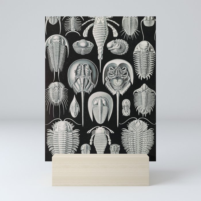 Mini Art Print