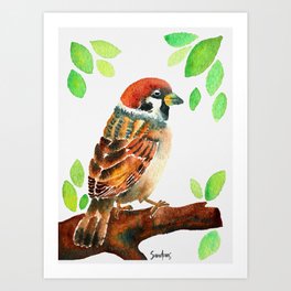 Tree Sparrow Watercolor Bird Art Print