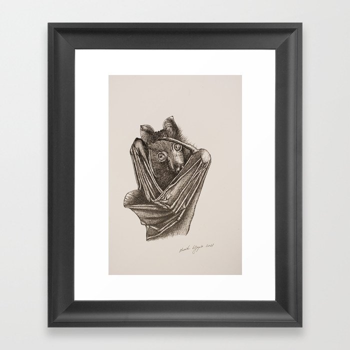 Shy Bat - Sketch by Monika Wyszynska Framed Art Print