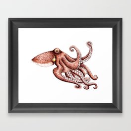 Octopus (Octopus vulgaris) Framed Art Print