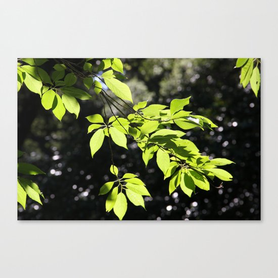 Magic leaves Canvas Print