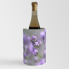 Lavender Field Wine Chiller