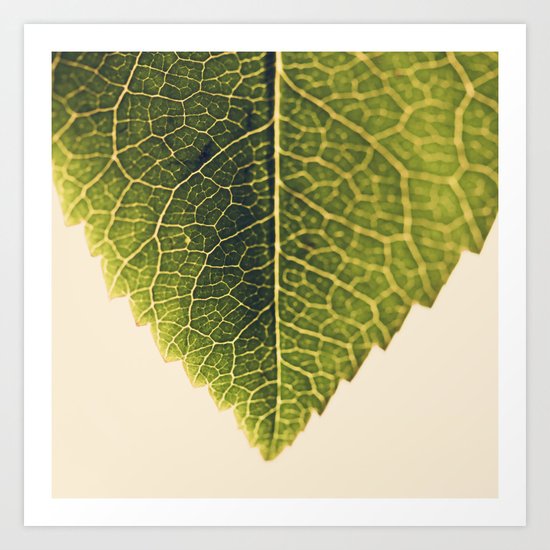 green leaf abstract Art Print