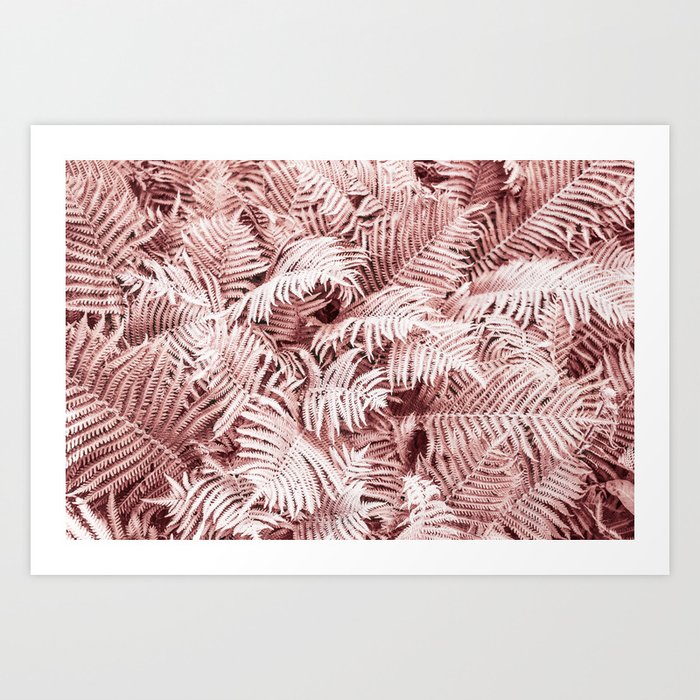 Fern Bush Blush Pink | Bedroom Art Art Print