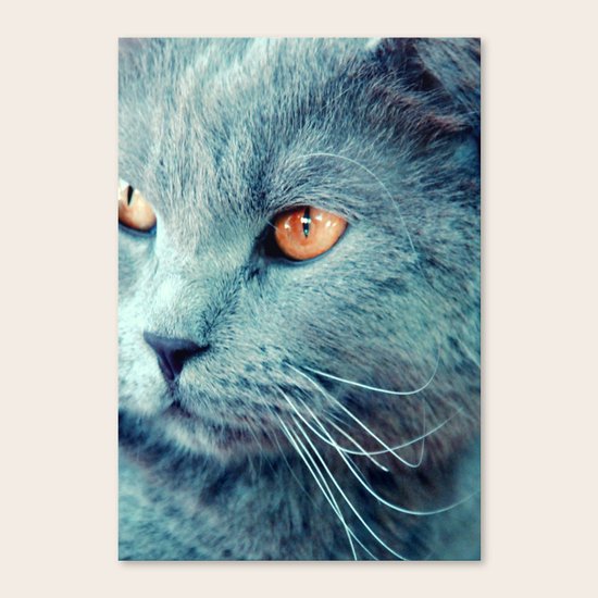 oscar Canvas Print