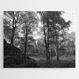  Scottish Highlands Spring Birch Woodland in Black and White Jigsaw Puzzle
