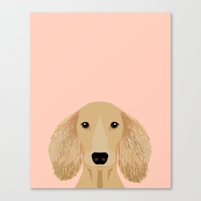 Doxie Portrait Cream Longhaired Dog Design Cute Dachshund Face