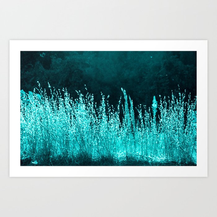 Grasses Aqua Art Print