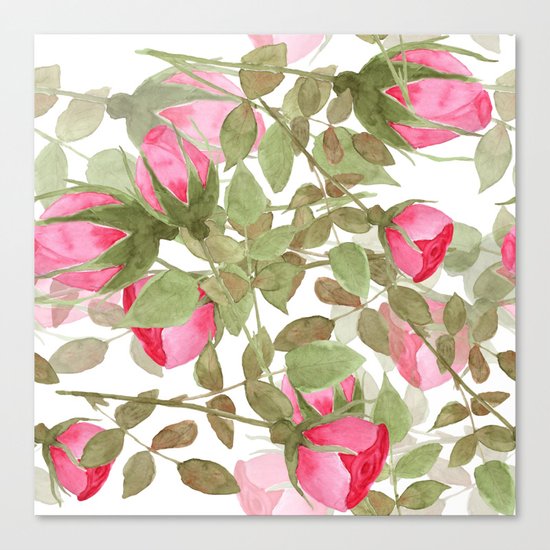 The buds of tender roses on a white background . Retro . Canvas Print