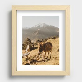 Peruvian Donkey Recessed Framed Print